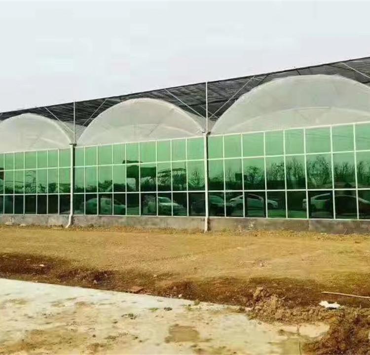 连栋薄膜温室大棚工程-结实耐用的连栋温室承建商推荐