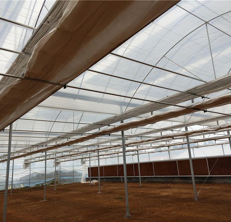 山东薄膜温室建设 薄膜连栋温室建造商