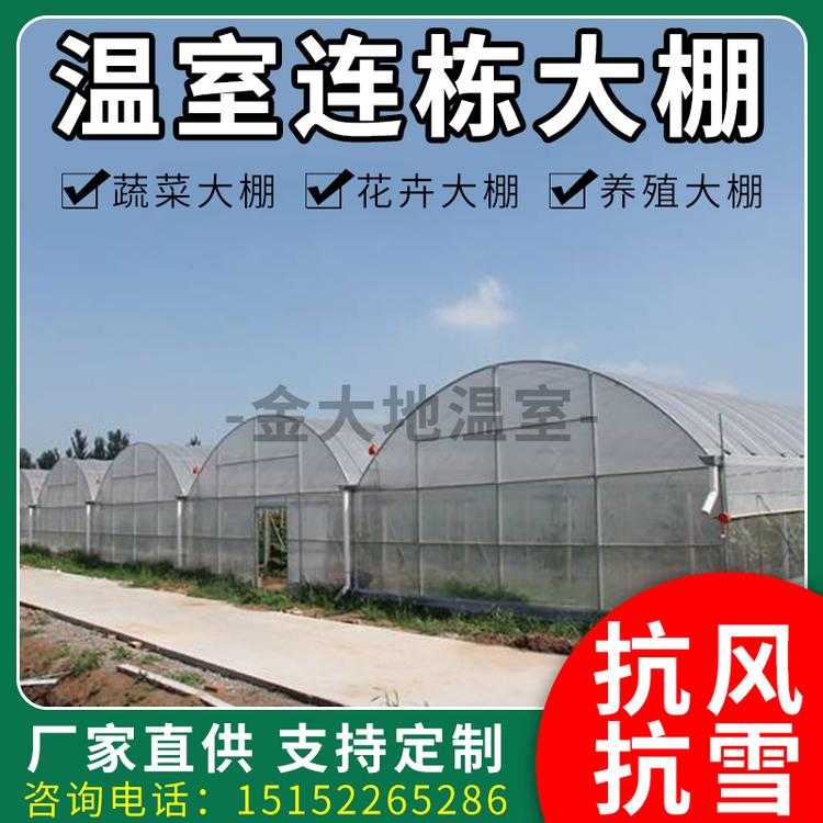 加固型连栋温室大棚 养殖大棚 养殖大棚骨架 大棚管厂配件 简易蔬菜大棚