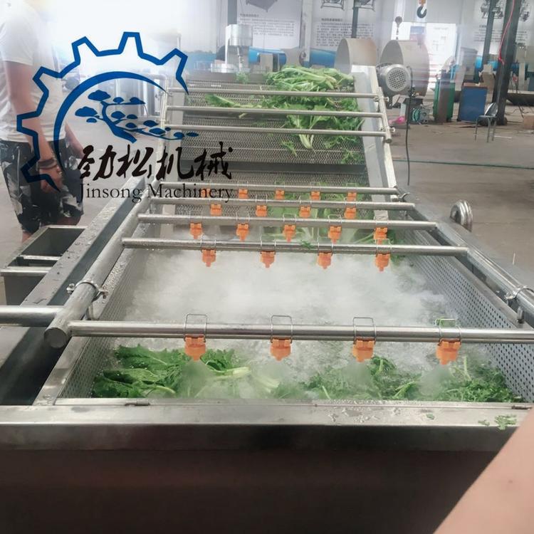 苹果柠檬大枣气泡清洗机  商用大型蔬菜水果清洗机 辣椒茄子清洗设备 价格