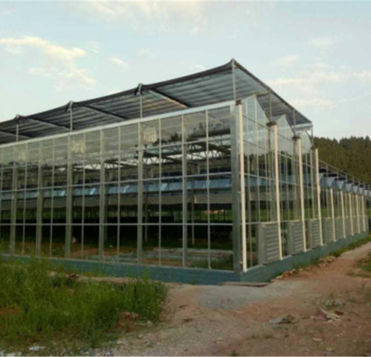 现代玻璃温室建设哪家好 润隆 现代玻璃温室建设品牌