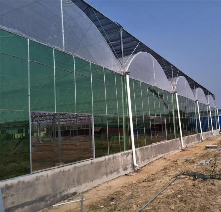 智能观光温室 润隆温室 玻璃温室骨架 玻璃温室骨架 温室大棚