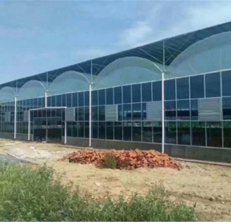 温室大棚 大棚 玻璃温室大棚 品质保证 育苗大棚 值得信赖
