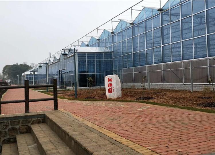 厂家定制新型玻璃大棚 玻璃温室大棚骨架 润隆温室工程