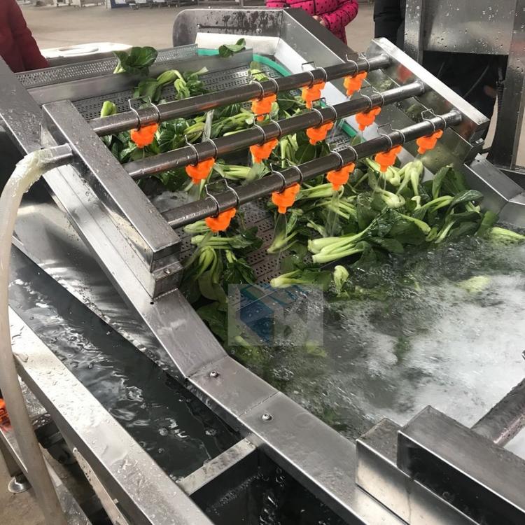 供应蔬菜清洗机-菠菜专用清洗机-净菜加工设备有哪些