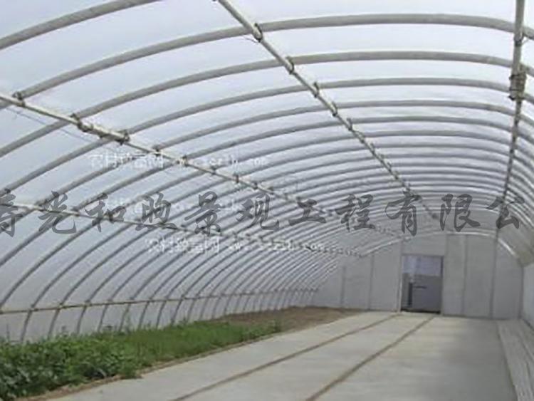 和煦几型钢温室拱棚  全钢管温室拱棚  简易温室拱棚 设计 安装