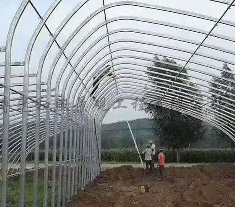 和煦日光温室大棚 节能日光温室 温室大棚设计