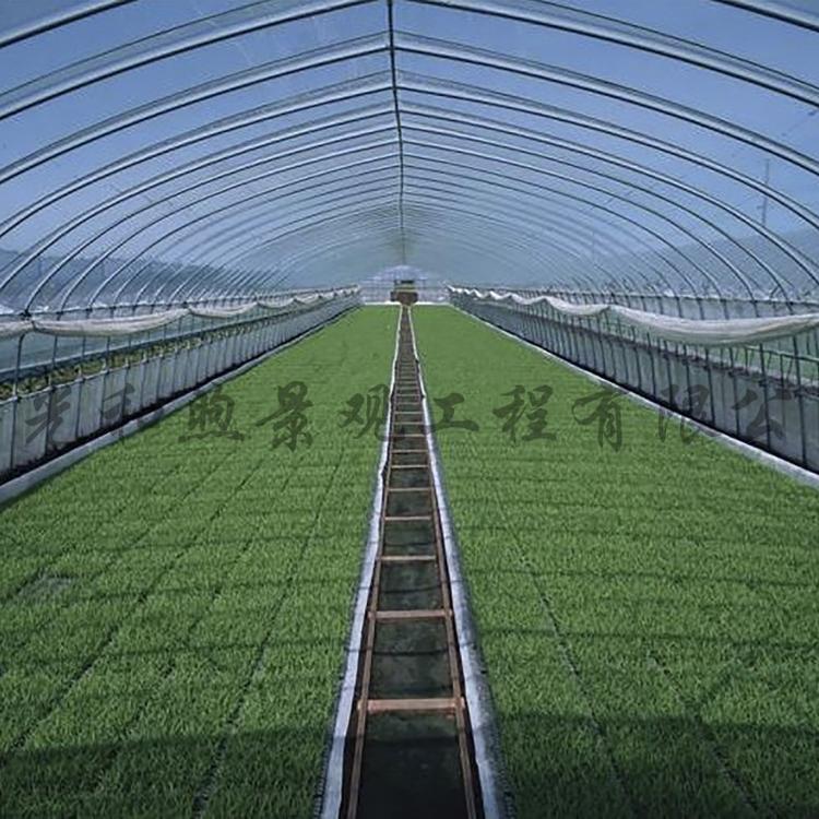 和煦春秋拱棚 冷棚 面包棚 拱棚适合种植以及养殖棚
