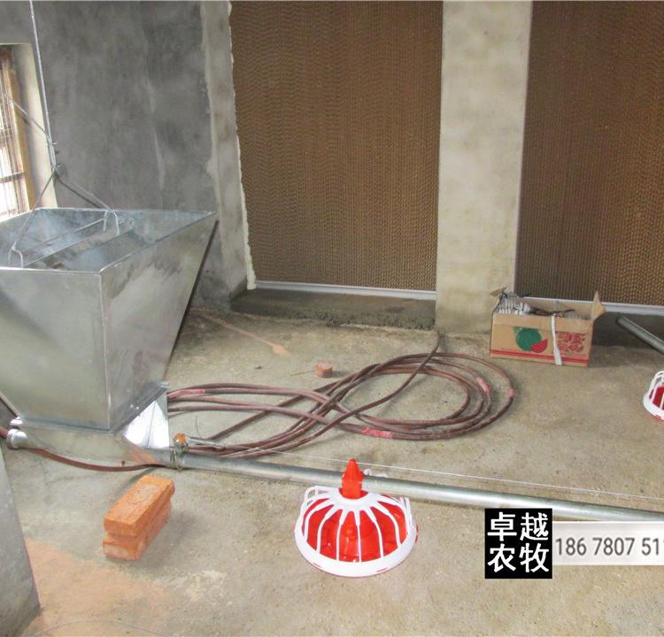 厂家直销养鸡自动喂料线 养鸡上料机 肉鸡料线