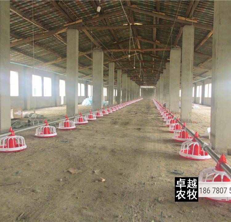 厂家直供养鸡自动喂料线 养鸡上料机 肉鸡料线