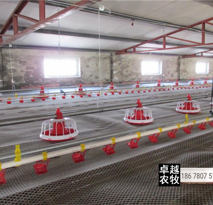 厂家直销自动化喂养鸡鸭鹅料线
