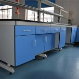 仁信长期供应实验室实验柜 钢木全钢PP实验台学校化学实验室实验台