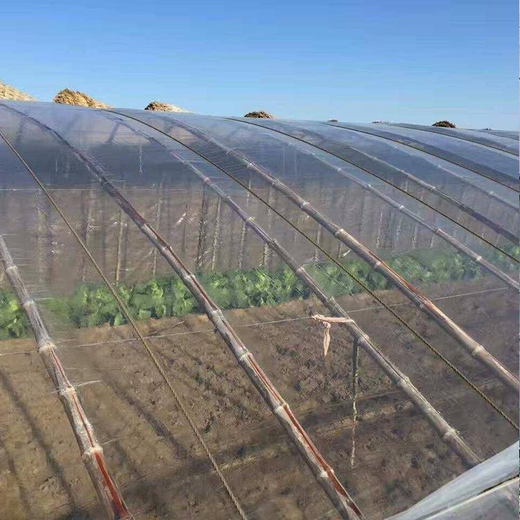 黑色地膜 加厚耐高温保湿超透明农膜 温室种植塑料薄膜