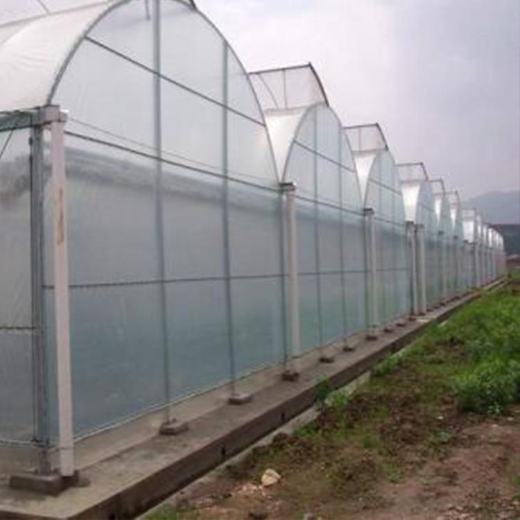 航立专业提供绿白膜食用菌 黑色地膜 透明地膜 银灰地膜 大棚PO膜 大棚灌浆膜