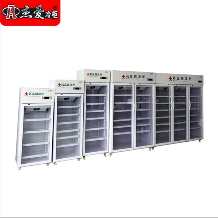 商用药品阴凉柜 医药阴凉柜 双门药品阴凉柜 杰爱阴凉柜
