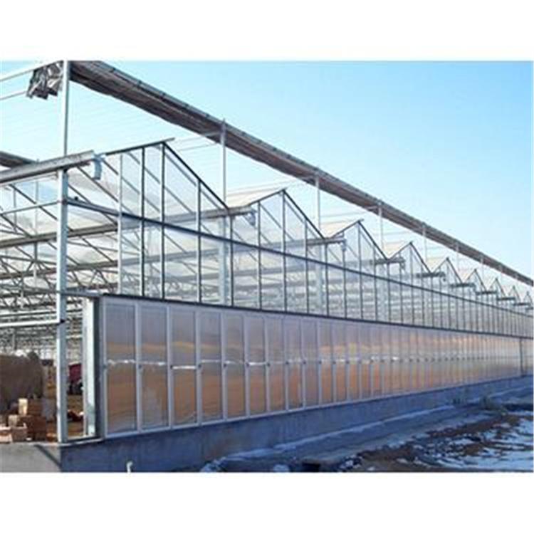 土栽培芽菜温室大棚 无土栽培苗菜温室建设_润隆温室品质保障