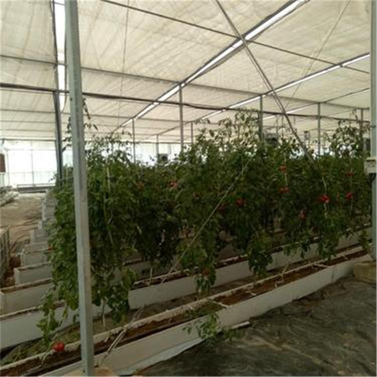 正规大棚厂家 薄膜连体大棚厂家供应 连体温室大棚价格 无土栽培大棚 大棚建设费用