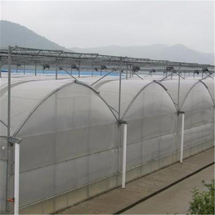 玻璃温室厂家 无土栽培蔬菜大棚 蔬菜温室大棚建造 专业温室搭建蔬菜种植棚
