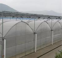 玻璃温室厂家 无土栽培蔬菜大棚 蔬菜温室大棚建造 专业温室搭建蔬菜种植棚