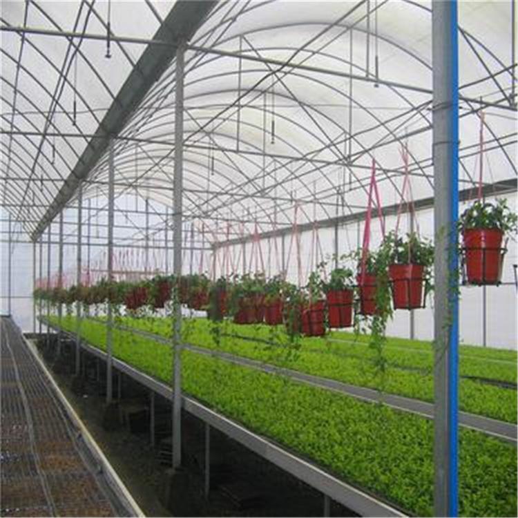 专业生产温室骨架 无土栽培专用温室大棚 草莓种植温室大棚