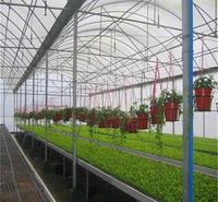 专业生产温室骨架 无土栽培专用温室大棚 草莓种植温室大棚