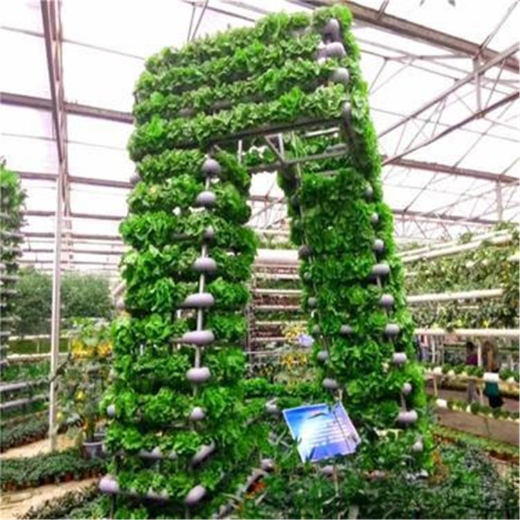 无土栽培大棚设计 温室大棚无土栽培厂家 无土栽培蔬菜种植 润隆温室