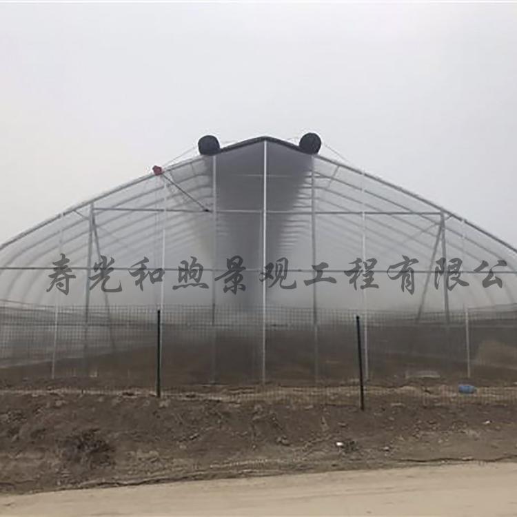 温室大棚 圆拱形温室大棚 双面冬暖式温室大棚 全钢管拱形大棚 温室大棚设计