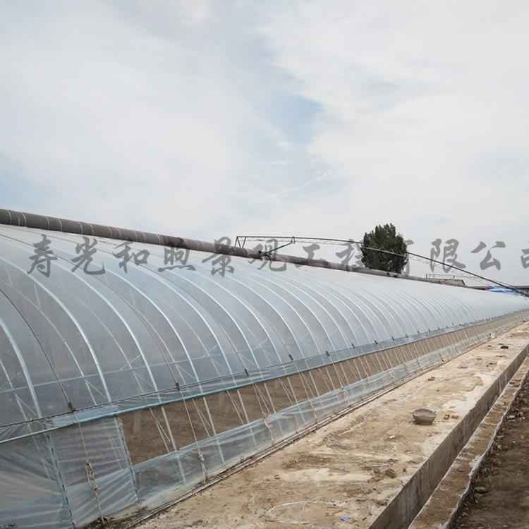 温室大棚 土墙体温室大棚 刚墙体温室大棚 温室大棚承建