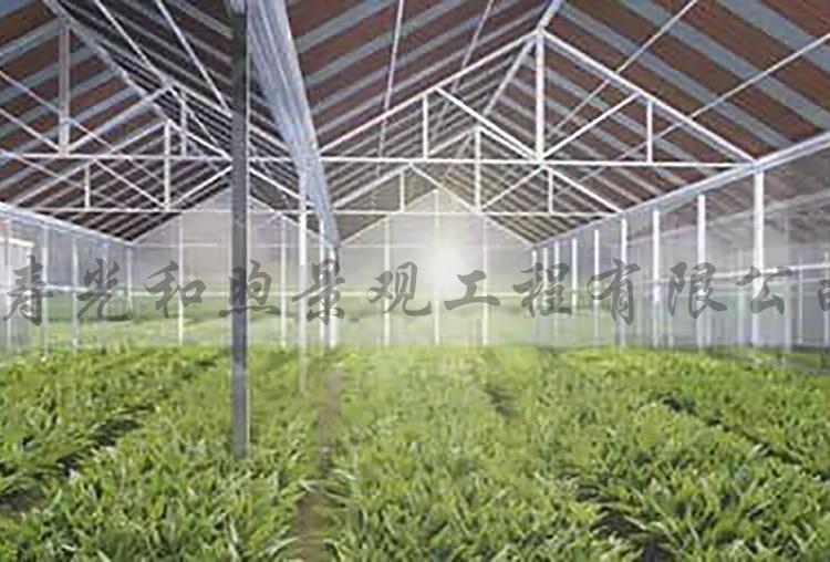 温室大棚 太阳能温室大棚 温室规划大棚 智能温室大棚