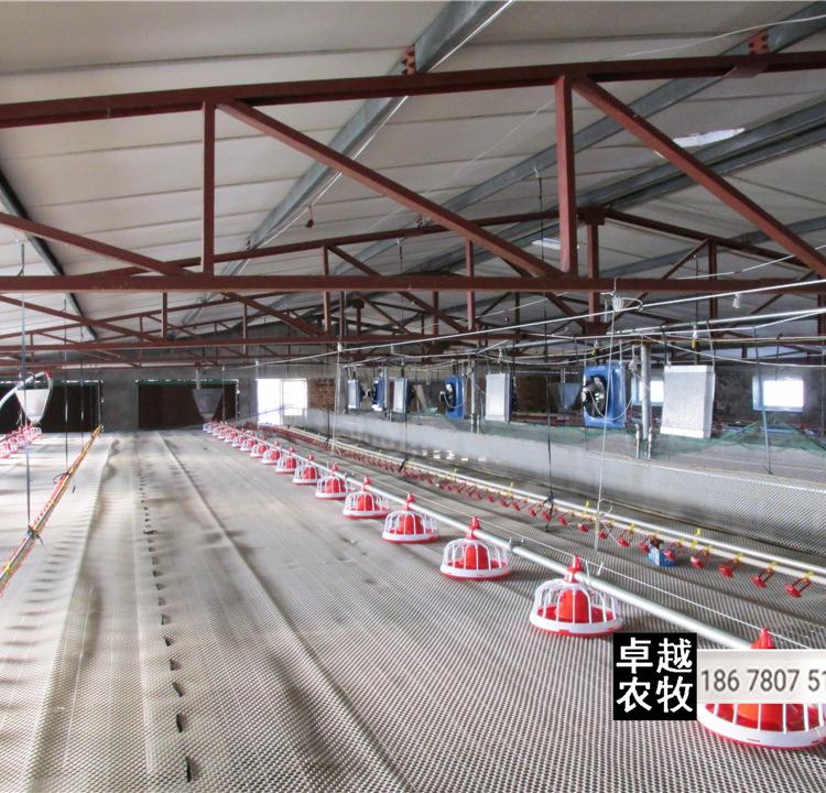 厂家直销质量保障 养殖料线全自动上料系统