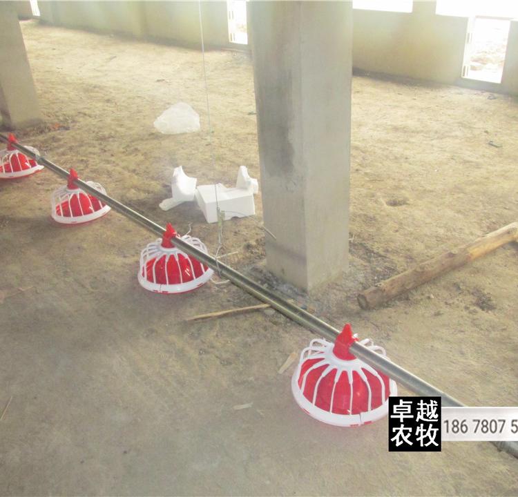 厂家直销鸡舍饲料输送设备 鸡舍专用料线