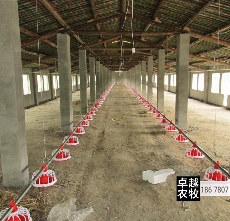 厂家直销自动化喂养鸡鸭料线