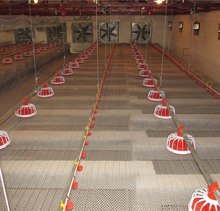 青州卓越厂家直销自动化养殖水线 优质球阀式鸡水线