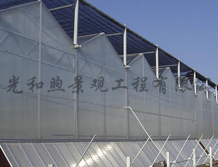 连栋温室大棚 拱形温室大棚 温室大棚建设 规划设计大棚