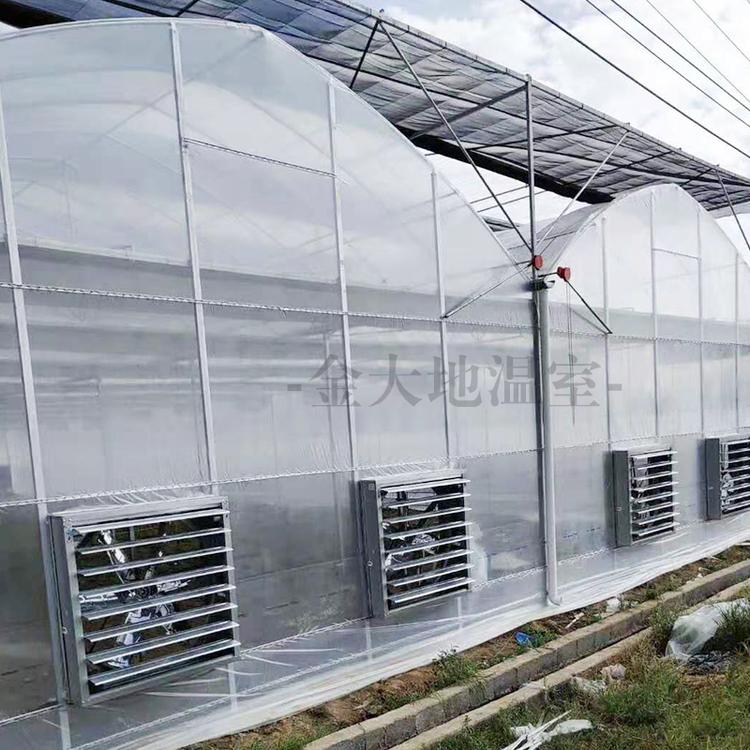 大棚钢管厂家直销热镀锌管大棚 连栋温室大棚 椭圆管大棚 几字钢大棚 钢架大棚 蔬菜大棚 葡萄大棚连体大棚农业大棚遮阳大棚规格齐全