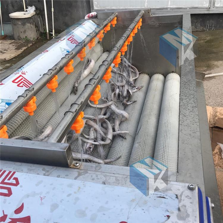 带鱼去白磷清洗机刀鱼去鳞清洗设备带鱼去鳞清洗机生产厂家