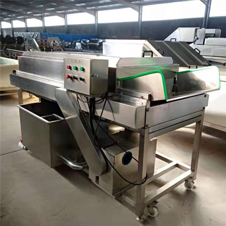 平行毛辊清洗机西红柿清洗机土豆清洗专用设备萝卜专用清洗机