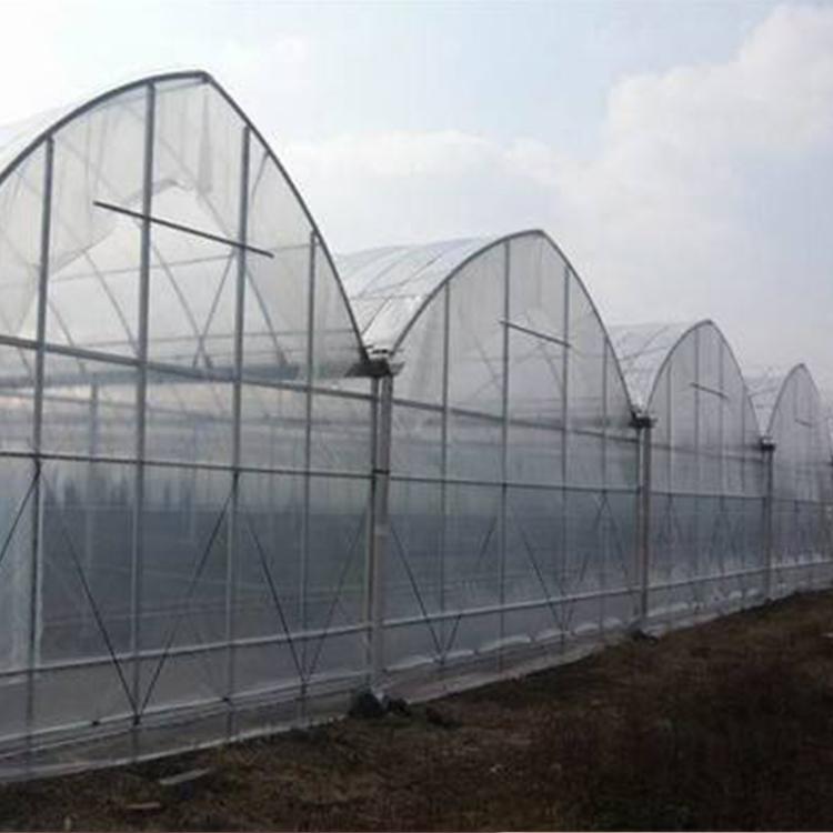 供应塑料薄膜农膜 厂家定做透明地膜 质量保证大棚黑白膜