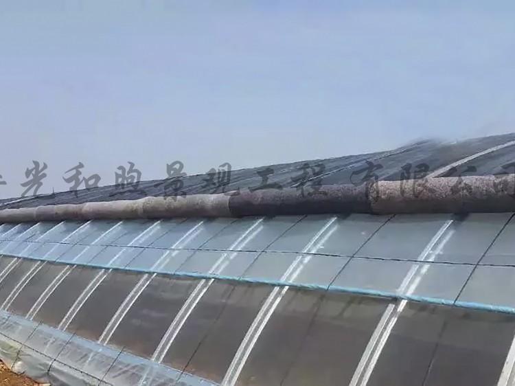 蔬菜温室大棚 日光温室 种植蔬菜瓜果大棚