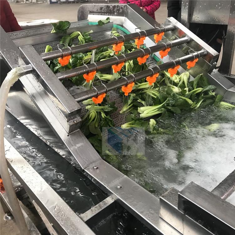 叶类蔬菜清洗机-可移动式气泡喷林清洗机-食品专业清洗设备生产厂家