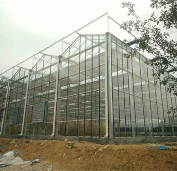 玻璃温室大棚 温室大棚 单层膜温室供应商 润隆温室