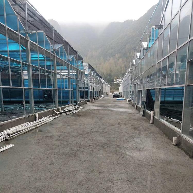 润隆温室 建设智能玻璃温室大棚 花卉玻璃温室建造 玻璃大棚