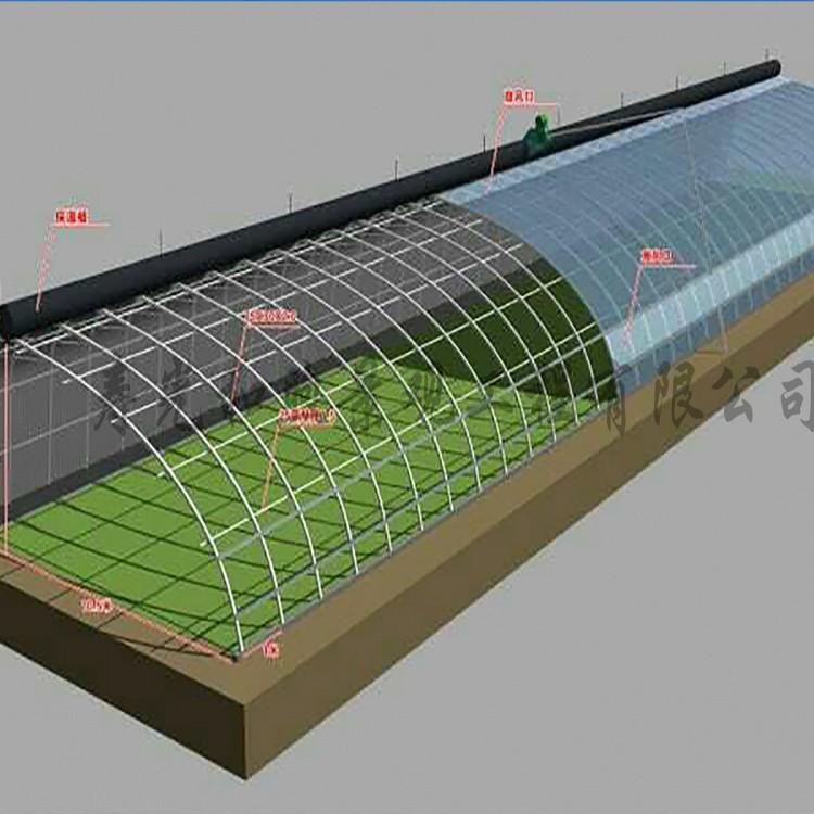 冬暖式温室大棚 日光温室 温室大棚工程承建