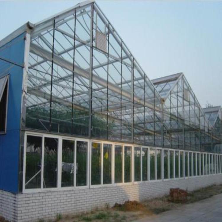 温室大棚建设 山东温室大棚