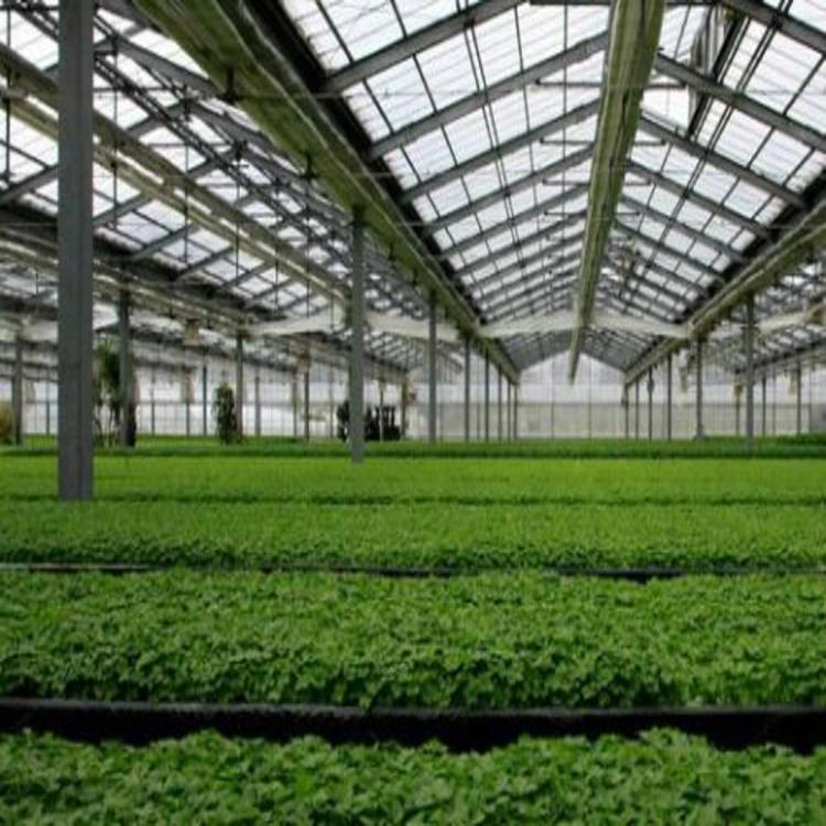 河北智能蔬菜大棚 智能蔬菜大棚建造