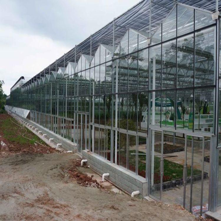玻璃温室大棚建造 迎晖玻璃温室大棚设计公司