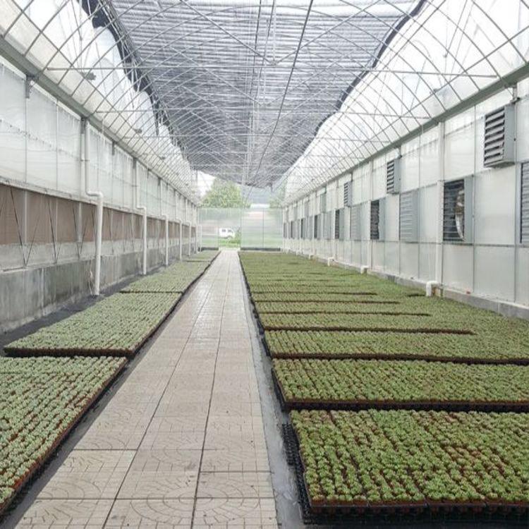内蒙薄膜连栋温室大棚  连栋温室大棚厂家建造