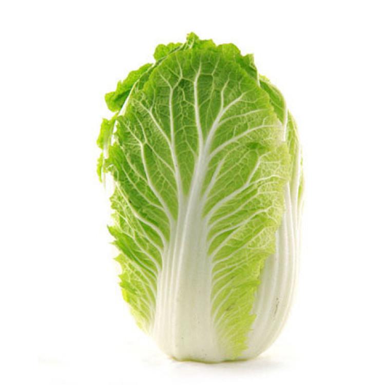 水可以循环利用的蔬菜清洗机-叶类蔬菜清洗机-梅菜清洗机