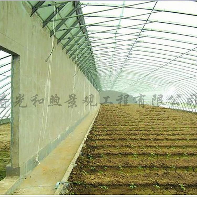 大棚 阳光板智能温室大棚 几字钢温室大棚