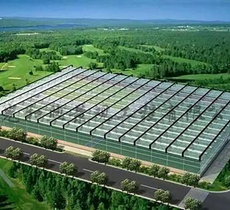 山东四周中空浮法玻璃智能温室设计 玻璃连栋智能温室大棚设计